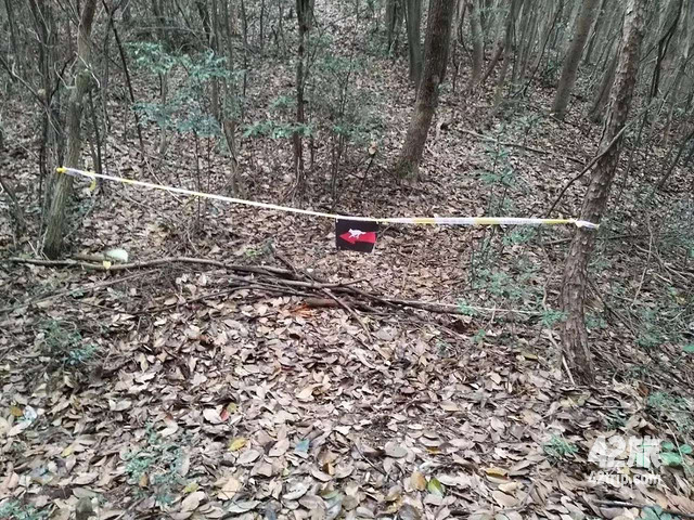 追猎倒数第一这顶帽子,我终于摘了!2017追猎越野赛雪耻记_文章_42旅